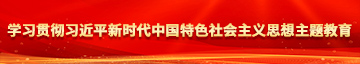 狂操美女大骚逼学习贯彻习近平新时代中国特色社会主义思想主题教育